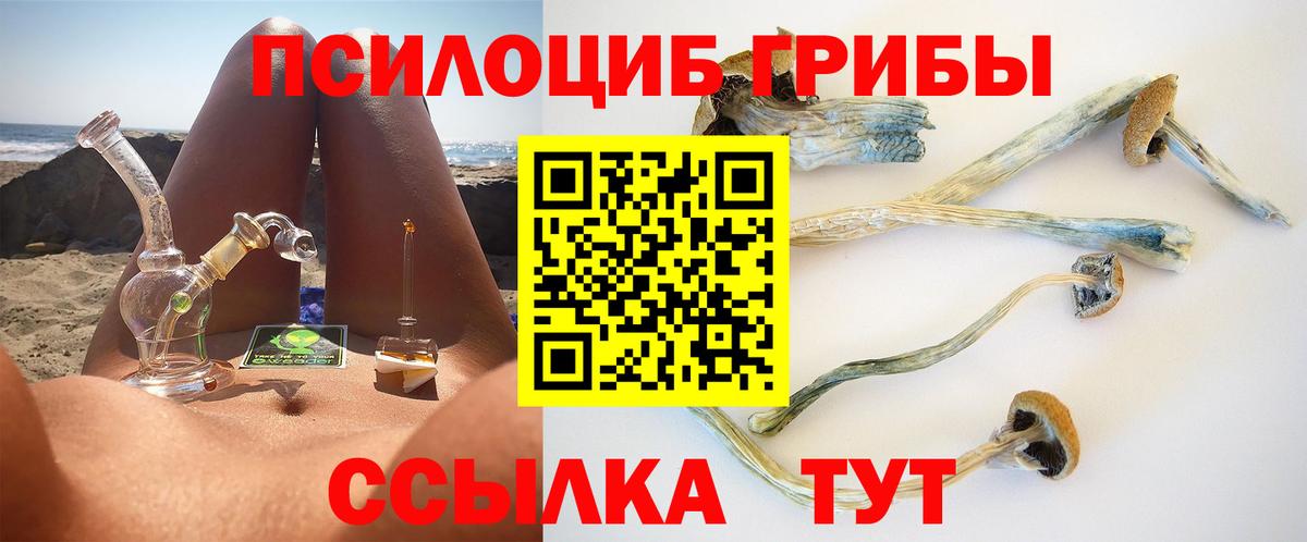 Белогорск  Галлюциногенные грибы Cubensis  Псилоцибиновые грибы Cubensis  где найти наркотики  Вход с VPN 